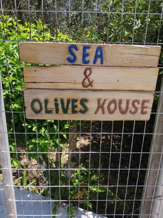 Sea & Olives House Villa Lixouri Exterior photo
