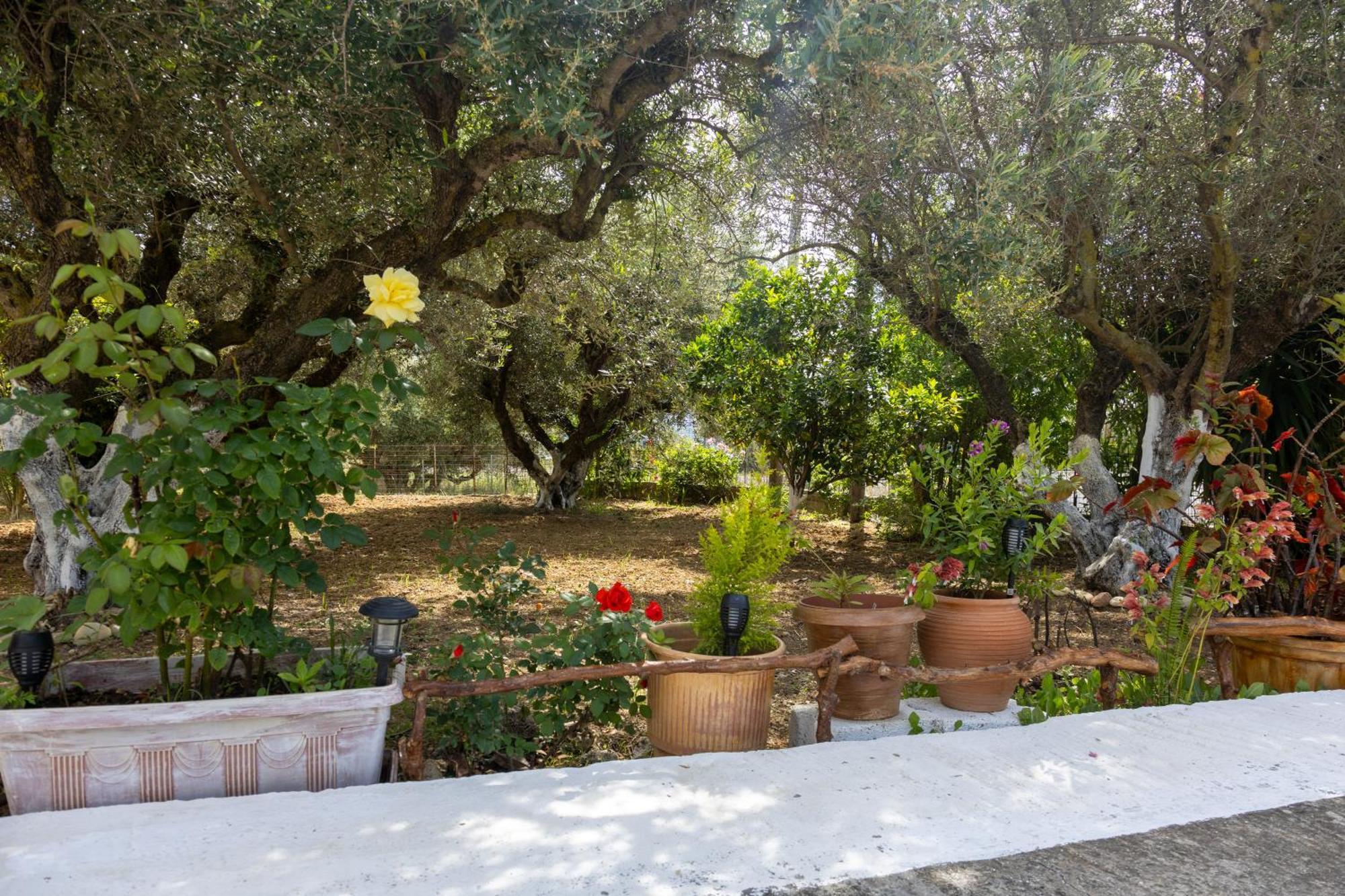 Sea & Olives House Villa Lixouri Exterior photo