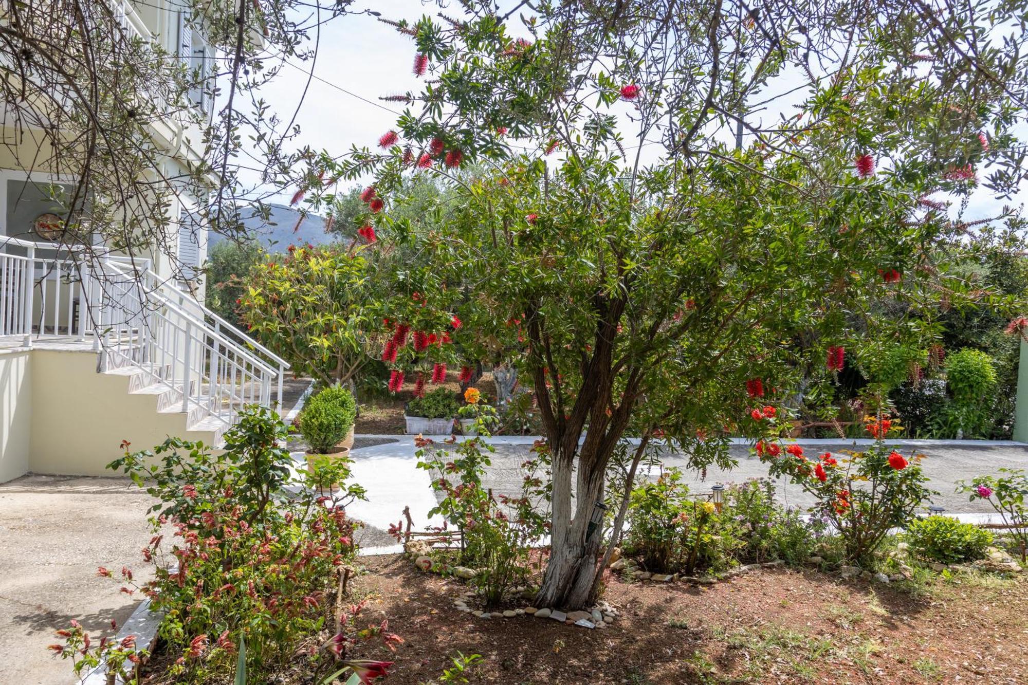 Sea & Olives House Villa Lixouri Exterior photo